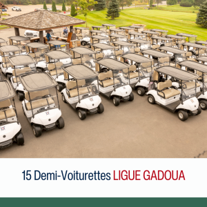 15 Demi-voiturettes