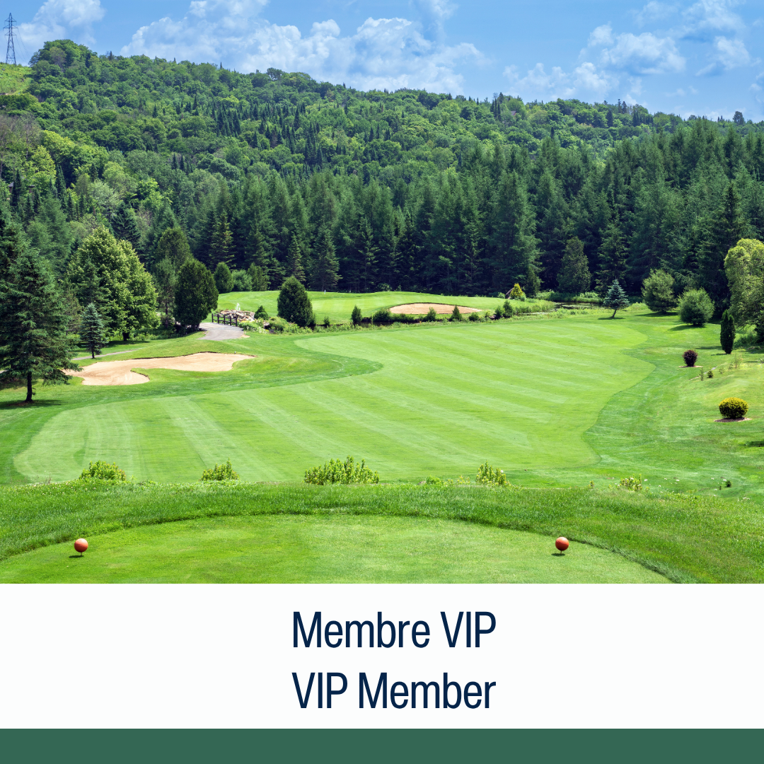 2026 VIP MEMBER